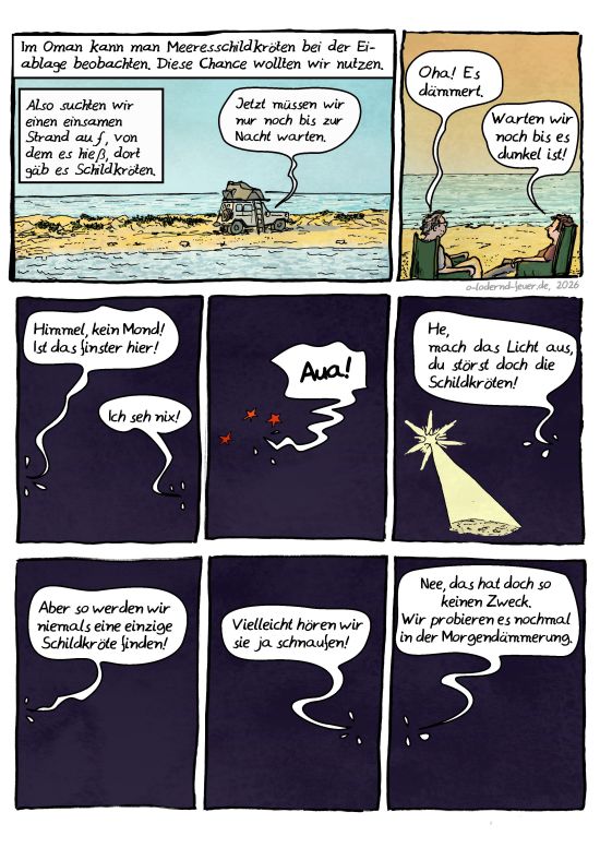 Im Oman- Schildkröten I