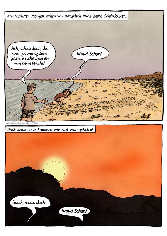 Im Oman - Schildkröten